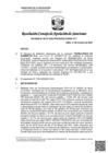 Vista preliminar de documento RCONAS-00147-2023-PRODUCE-CONAS-1CT