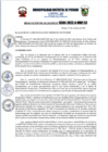 Vista preliminar de documento r384