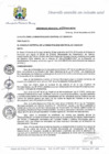 Vista preliminar de documento ORDENANZA MUNICIPAL 029-2019-MDCH