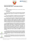 Vista preliminar de documento RD Nº D000134-2023-DE