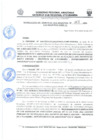 Vista preliminar de documento 208-2023-RG