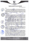 Vista preliminar de documento rgm384a