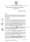 Vista preliminar de documento RESOLUCION_N_001-2023-CO