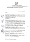 Vista preliminar de documento RESOLUCION_N_213-2023-CO