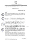 Vista preliminar de documento RESOLUCION_N_207-2023-CO