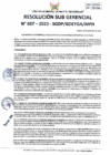 Vista preliminar de documento RSG 887-2023-SGDP