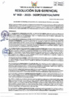 Vista preliminar de documento RSG 903-2023-SGDP