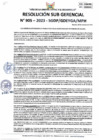 Vista preliminar de documento RSG 905-2023-SGDP