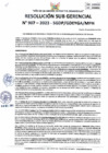 Vista preliminar de documento RSG 907-2023-SGDP
