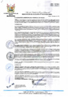 Vista preliminar de documento RA 419-2023-MPHH