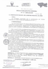 Vista preliminar de documento RESOLUCION EJECUTIVA REGIONAL    317