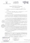 Vista preliminar de documento RESOLUCION EJECUTIVA REGIONAL    315