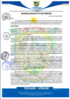 Vista preliminar de documento rgm427