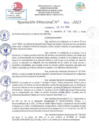 Vista preliminar de documento RD N 922