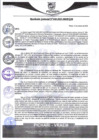Vista preliminar de documento rgm440