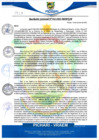 Vista preliminar de documento rgm442