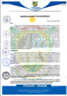 Vista preliminar de documento rgm446