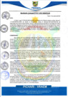 Vista preliminar de documento rgm455