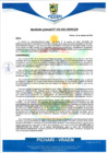 Vista preliminar de documento rgm456