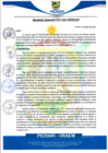 Vista preliminar de documento rgm457