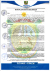 Vista preliminar de documento rgm458