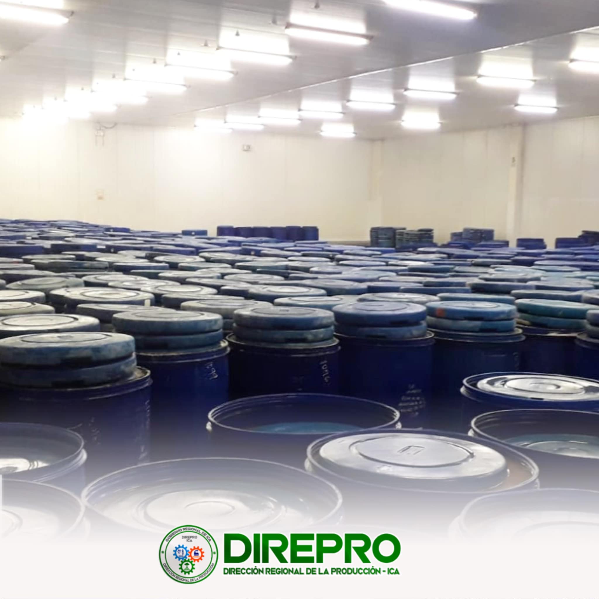 La Sub Dirección de Medio Ambiente de la DIREPRO ICA realizaron una supervisión Técnica Ambiental