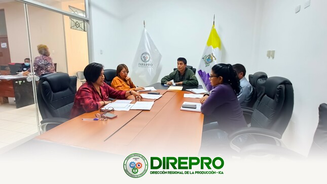 El equipo técnico de la Sub dirección de Pesquería de la DIREPRO ICA, sostuvo la reunión de trabajo 