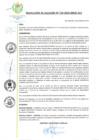 Vista preliminar de documento RESOLUCION 710