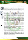 Vista preliminar de documento ORDENANZA MUNICIPAL N°008-2023-MDSM-A