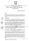 Vista preliminar de documento RESOLUCION_N_282-2022-CO