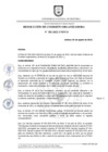 Vista preliminar de documento RESOLUCION_N_382-2022-CO