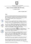 Vista preliminar de documento RESOLUCION_N_391-2022-CO