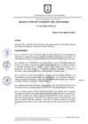 Vista preliminar de documento RESOLUCION_N_417-2022-CO