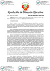 Vista preliminar de documento RDE 00055-2021-ARCC-DE