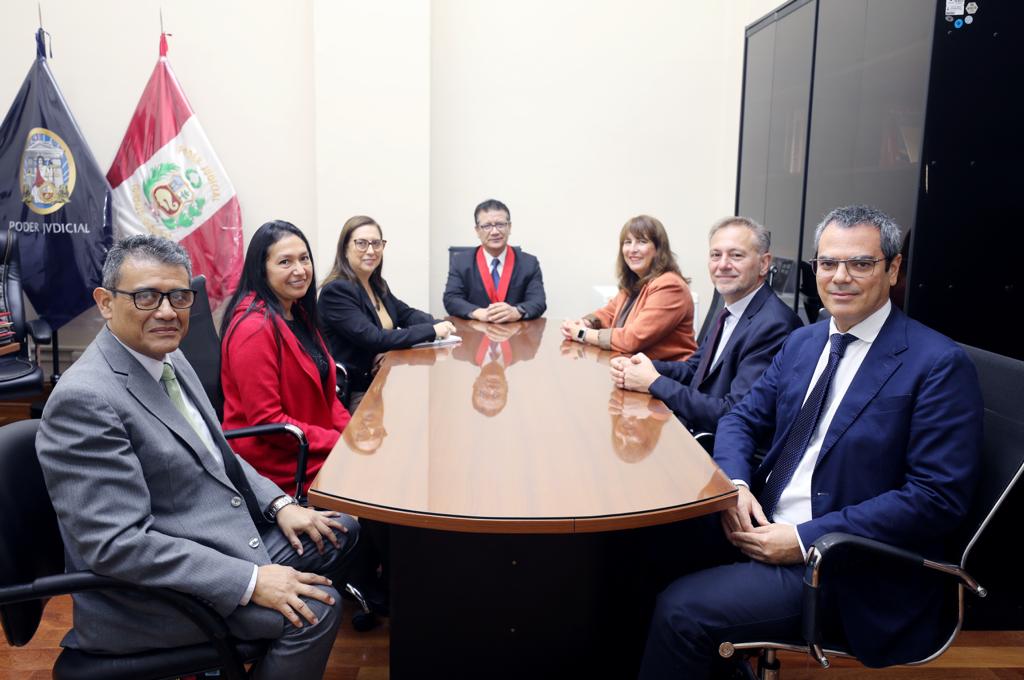 Mesa-de-Trabajo-FIIAPP-PJ-2