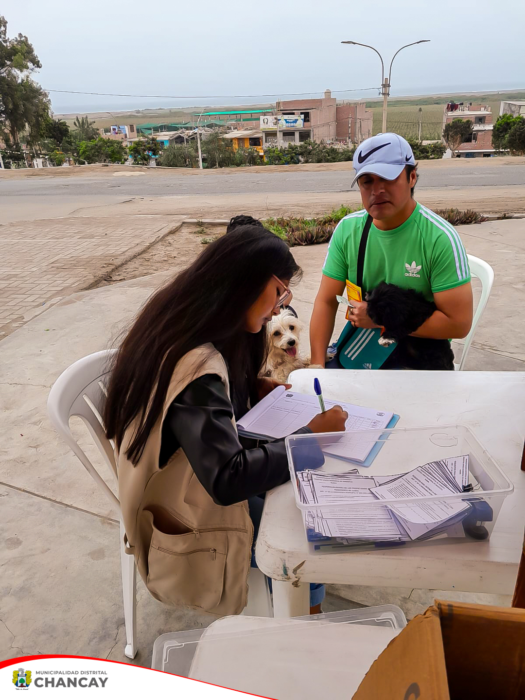 Garantizando la Salud de las Mascotas