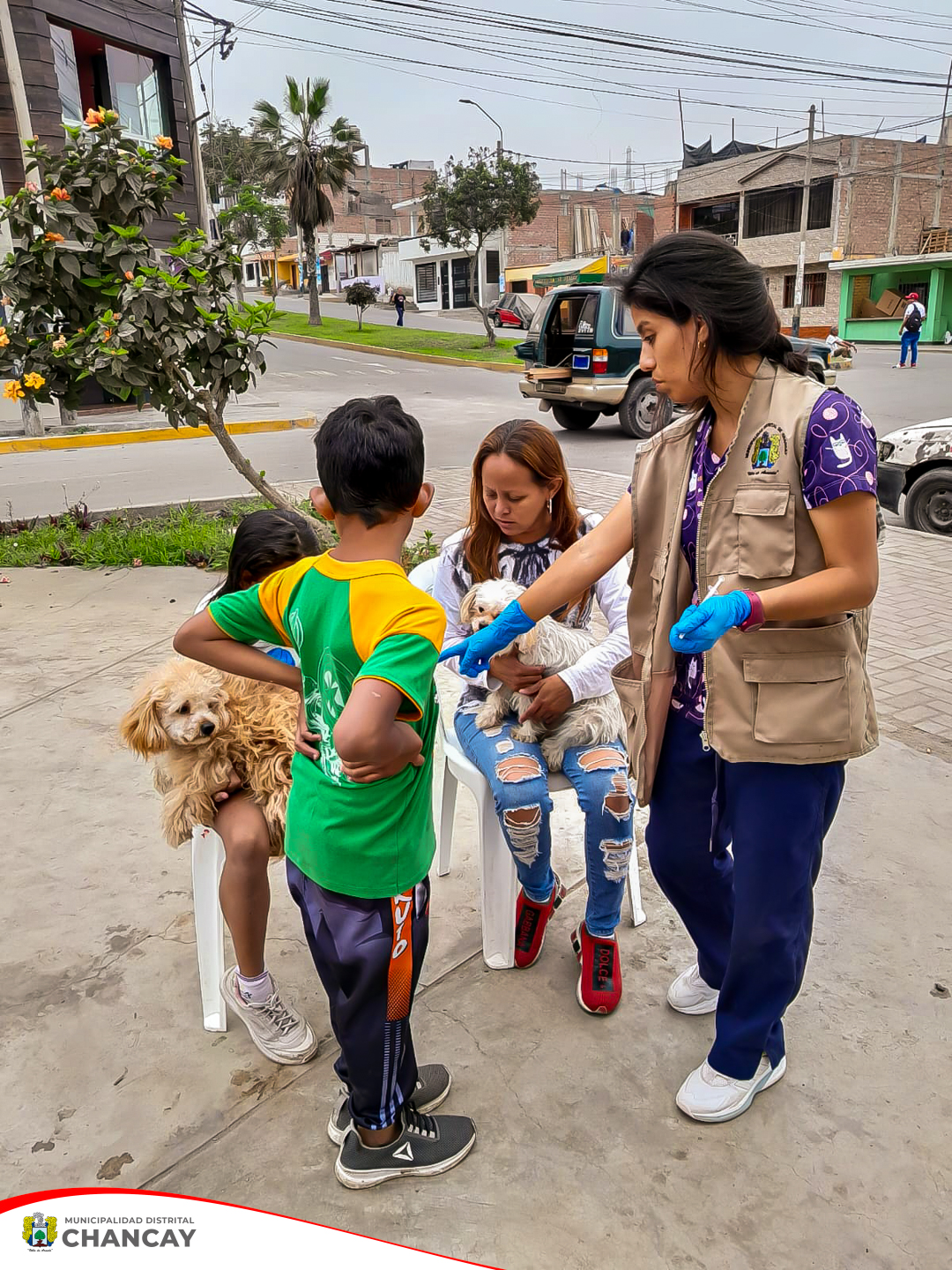 Garantizando la Salud de las Mascotas