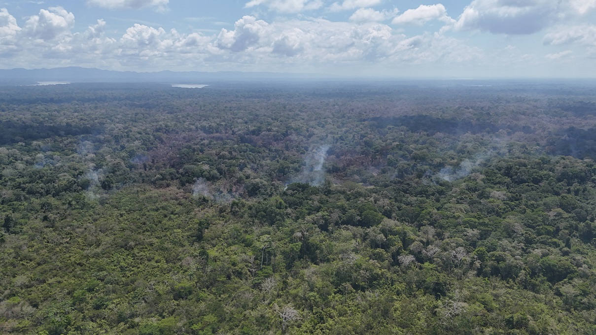 Incendio Cordillera Azul