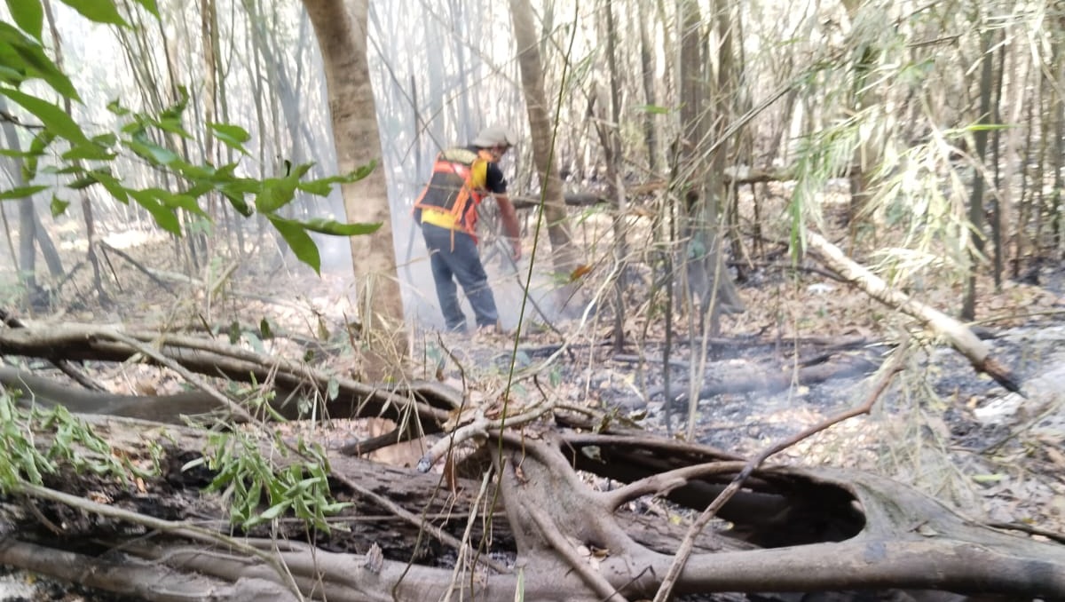 Incendio Cordillera Azul