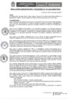 Vista preliminar de documento RAF N° 137-2023