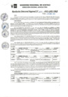 Vista preliminar de documento RDR_N_004-2023-GRU-DRA