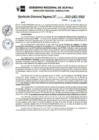 Vista preliminar de documento RDR_N_005-2023-GRU-DRA