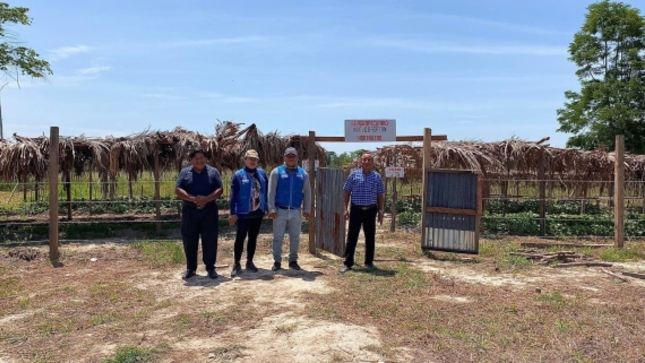 FOTOVOLTAICOS