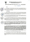 Vista preliminar de documento RDR_N_008-2023-GRU-DRA