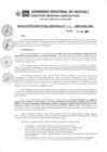 Vista preliminar de documento RDR_N_011-2023-GRU-DRA (1)