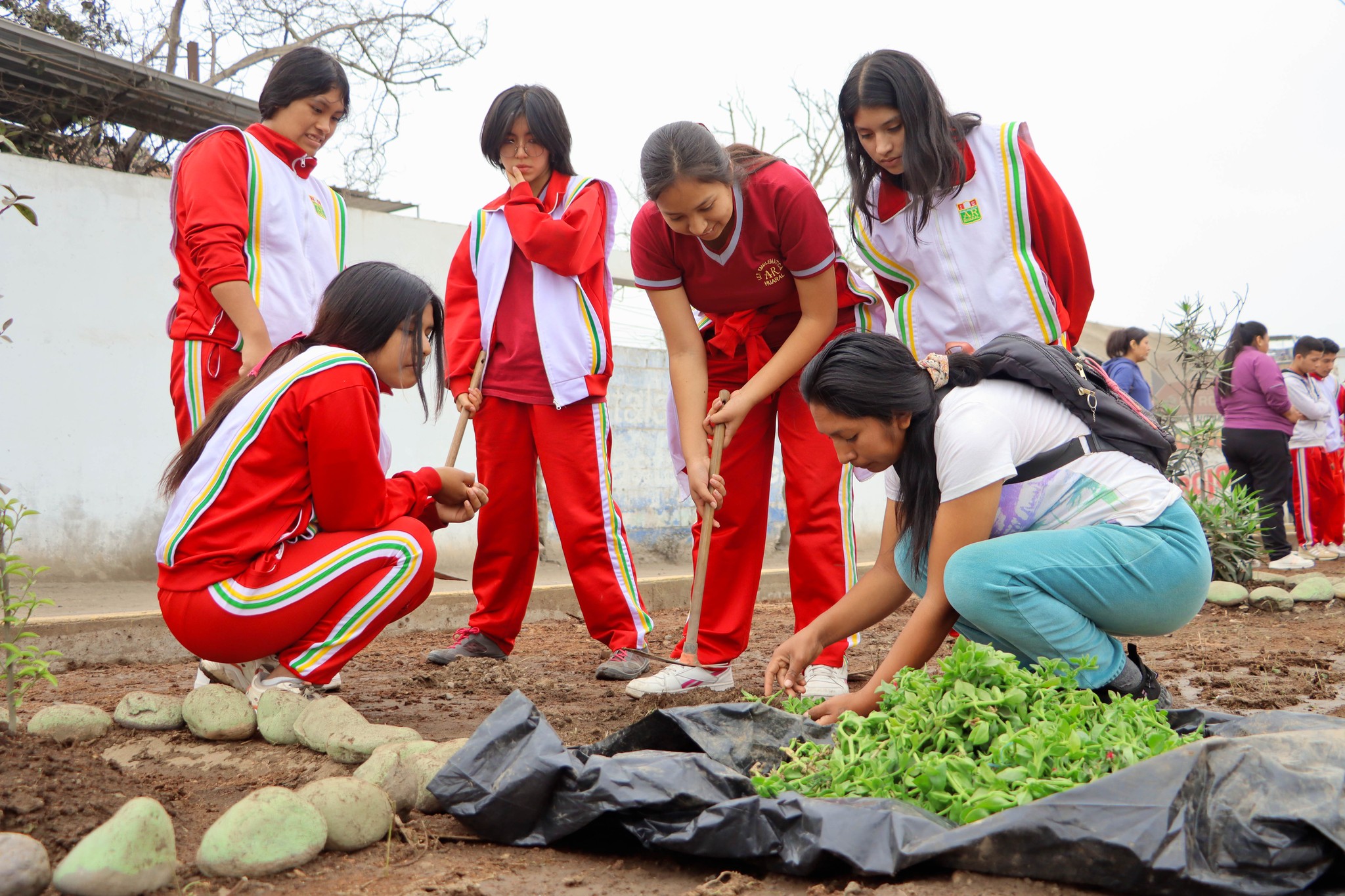 Municipalidad de Huaral realiz贸 Tercera Cruzada Verde nacional en el marco de la Semana de la Acci贸n Forestal 2023
