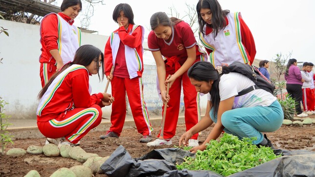 Municipalidad de Huaral realizó Tercera Cruzada Verde nacional en el marco de la Semana de la Acción Forestal 2023