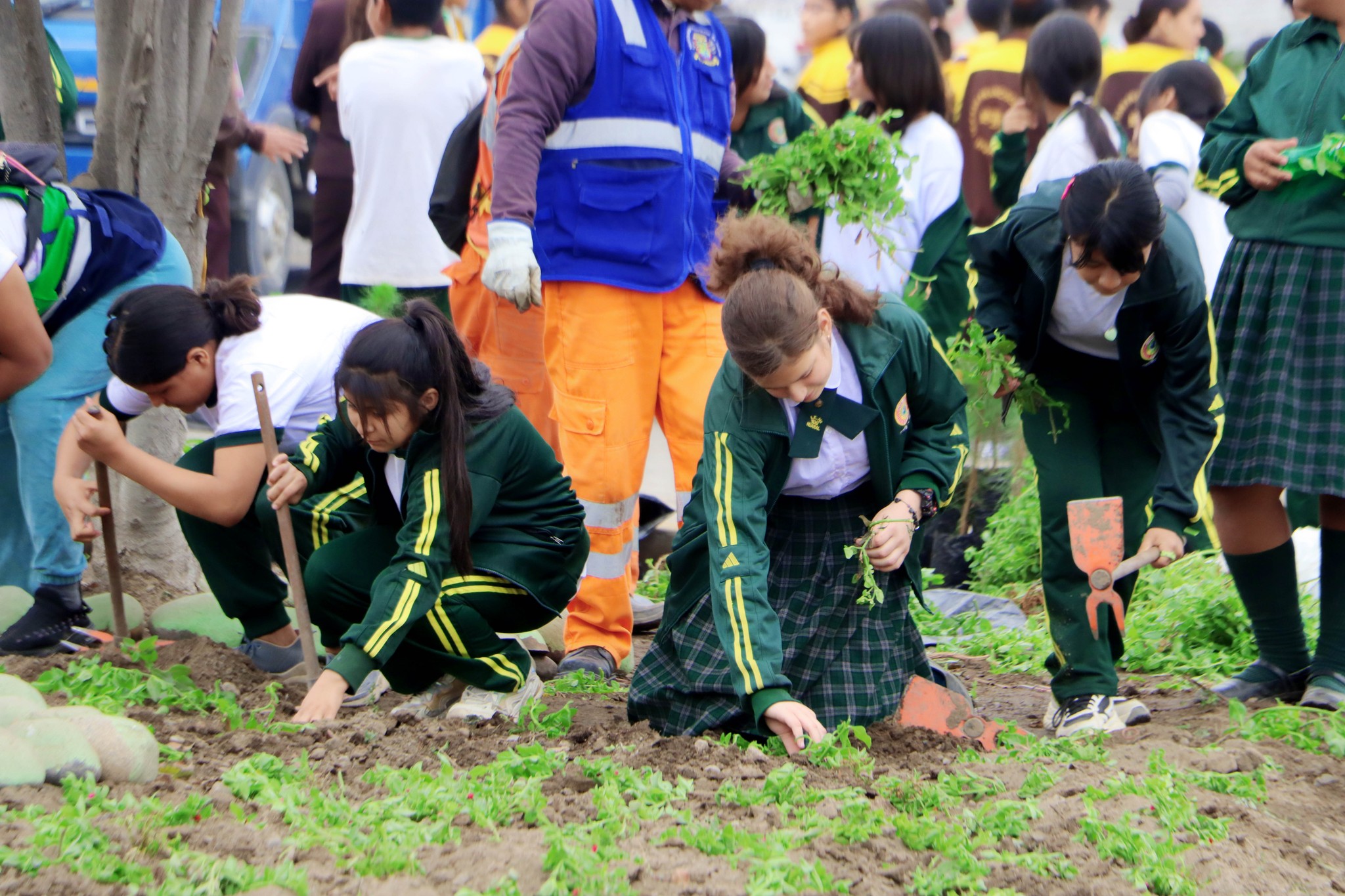 Municipalidad de Huaral realiz贸 Tercera Cruzada Verde nacional en el marco de la Semana de la Acci贸n Forestal 2023