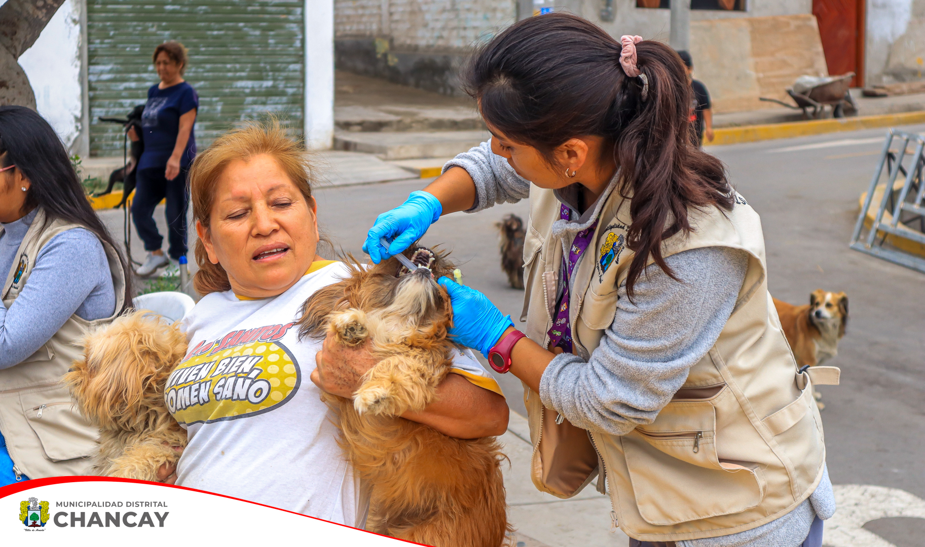 En el último día de la III Campaña de desparasitación, decenas de mascotas del Pueblo Joven Santa Rosa llegaron al lugar de la actividad junto con sus dueños para que así puedan cuidar de su salud.
