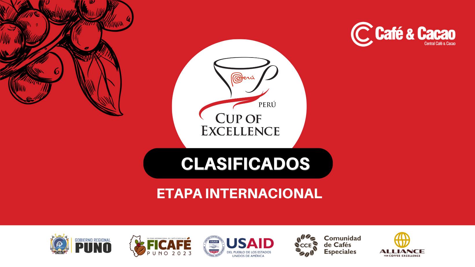 Taza de Excelencia 1